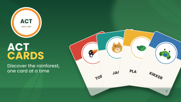 ACT Cards - a playful set of rainforest nature cards featuring the toucan, jaguar, frog and plants of Guyana
